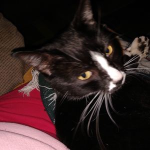 Meet your Posher, Carolyn